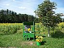 Am Wegesrand gab es Sonnenblumen zum Verkauf.