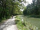 Der idyllische Radweg am Ludwigskanal