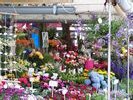 Viktualienmarkt, Blumen