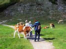 Bergwanderung auf dem Feuerkogel